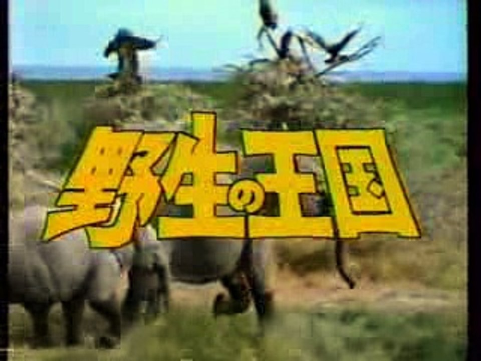 野生の王国OP　碧い星の子供たち