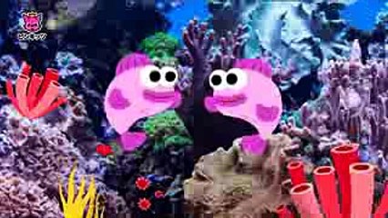 リアルなサメのかぞく  どうぶつのうた  ピンキッツ童謡