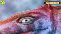 [まめきゅんの恐竜探検#58] プロケラトサウルス 【MAMEKYUNN】