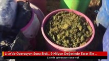 Lice'de Operasyon Sona Erdi... 9 Milyon Değerinde Esrar Ele Geçirildi