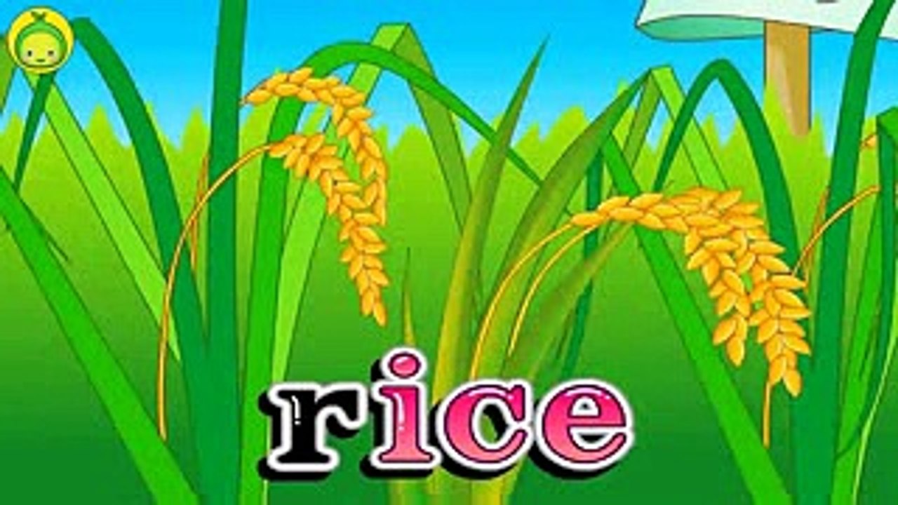 [まめきゅんの英語教室#11] えいごラップ(ing,ig,ice) 【MAMEKYUNN】