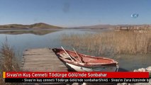Sivas'ın Kuş Cenneti Tödürge Gölü'nde Sonbahar