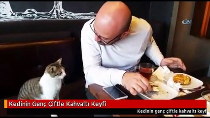 Kedinin Genç Çiftle Kahvaltı Keyfi