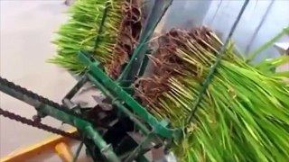 Малая механизация для выращивания риса, супер техника