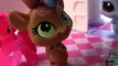 LPS Cake Distrion - Diva Dahhhhling - Littlest Pet Shop LPS My Little Pony Series Part 7 Video