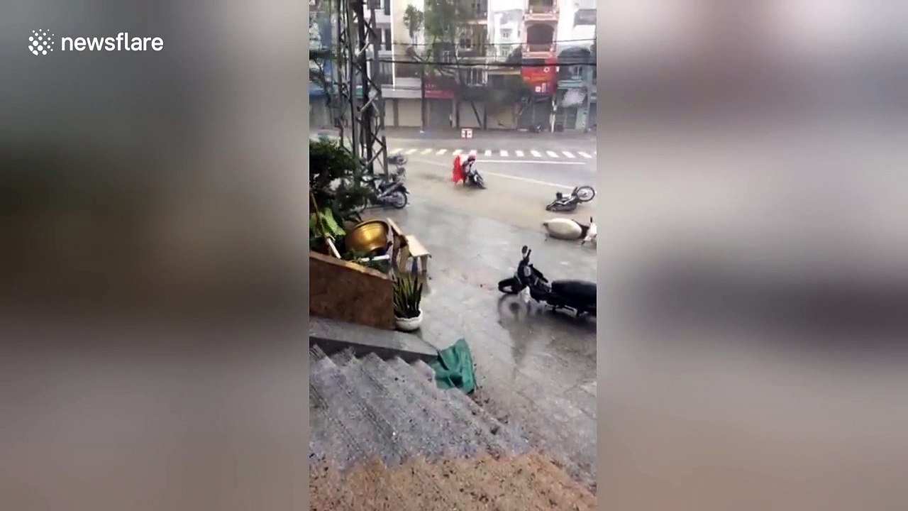 Typhoon Damrey batters Vietnam