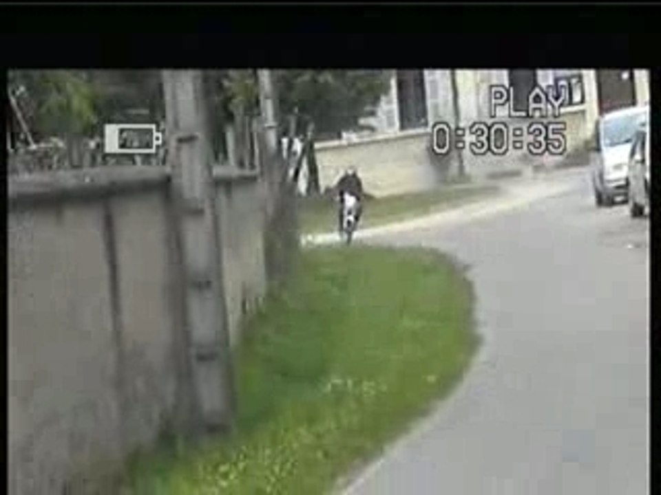 Mob film