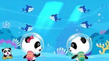 ♬サメの友達探し  サメのうた  どうぶつのうた すうじのうた  赤ちゃんが喜ぶ歌  子供の歌  童謡   アニメ  動画  BabyBus