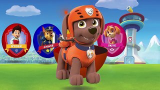 Learn Colours Ryder Paw Patrol - Colors for Children to Learn with Ryder Surprise Eggs