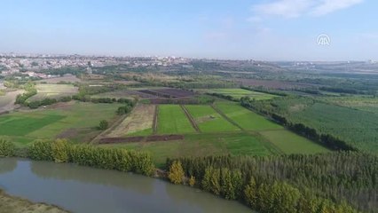 Hevsel Bahçeleri'nde Sonbahar Renkleri