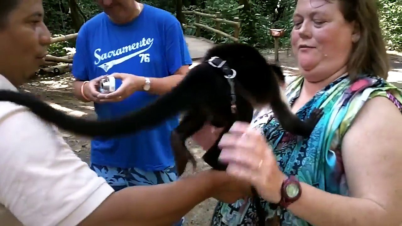 Funniest Monkey ever