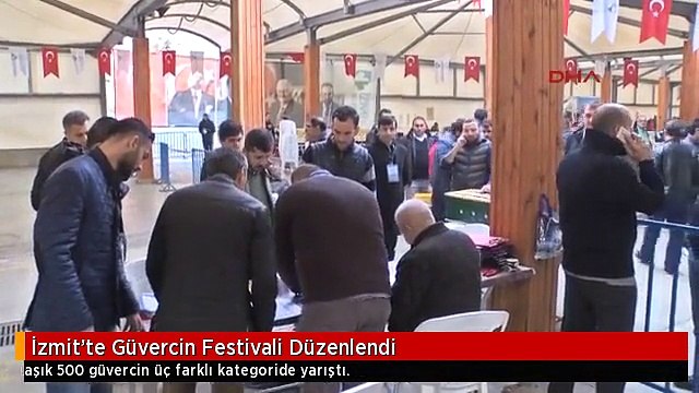 İzmit'te Güvercin Festivali Düzenlendi