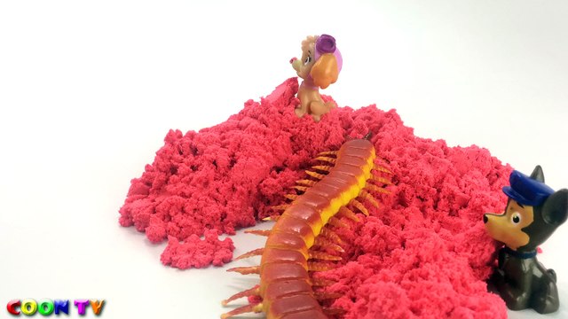 Learn Colors Kinetic Sand Rainbow Cake with Paw Patrol Toys Finger Family Songs for Children