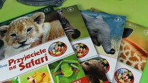 Bing! Wycieczka do zoo - Króliczek Bing & Przyjaciele na Safari - bajka po polsku