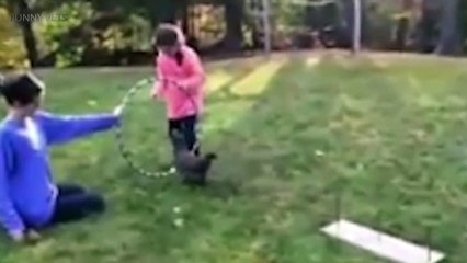 Funny Chickens 2017 [Funny Pets]