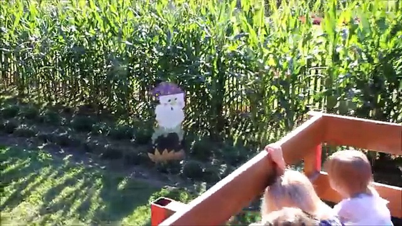 Trors for Children Kids Toddlers Videos Songs Pulling Working on the Farm John Deere Halloween