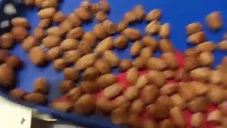 How To Make Coated Peanut