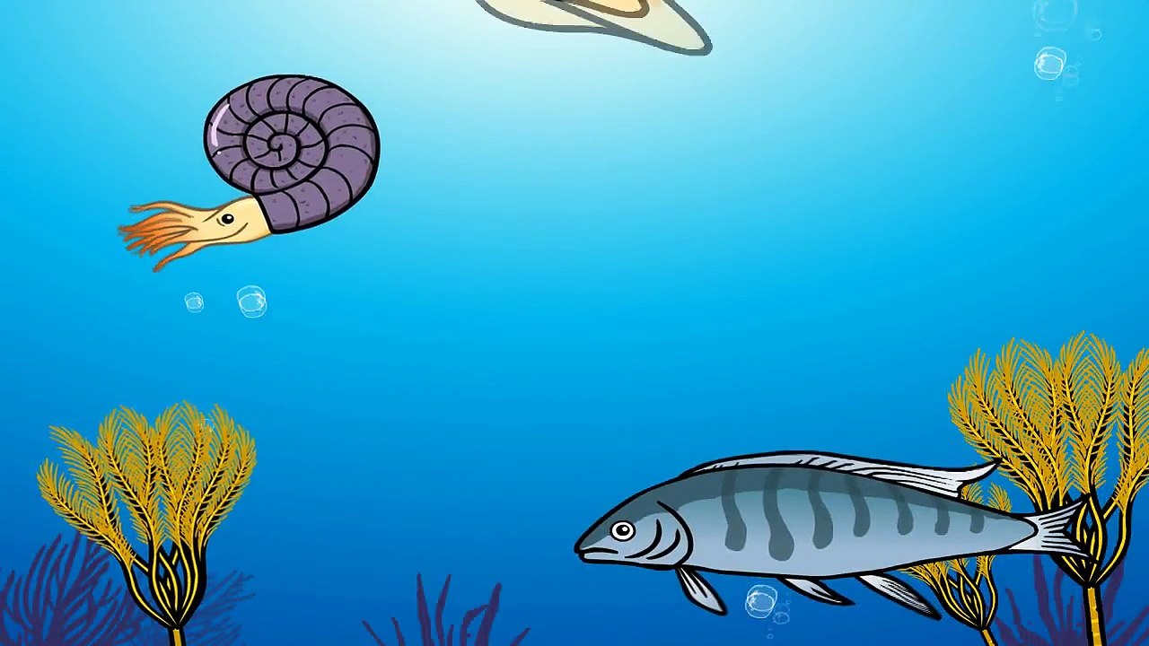 바닷속 해룡이 궁금해요! | 엘라스모사우루스, 무라이오노사우루스, 플레시오사우루스, 펠로네우스테스 | 지니★공룡상식 Dino animation for kids