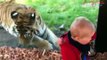 Kids and wild animals At The Zoo: Rainforest Animals and African animals - Animals learn for kids