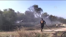 Didim'de Arazi Yangını