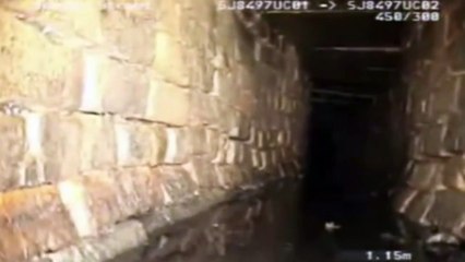 10 Unexplained Creatures Caught On Tape