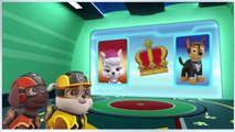 PAW PATROL MISSION PAW PATRULHA CANINA MISSÃO PATA NICKJR