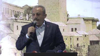 Büyük Rumeli Buluşması" - TBMM Anayasa Komisyonu Başkanı Şentop