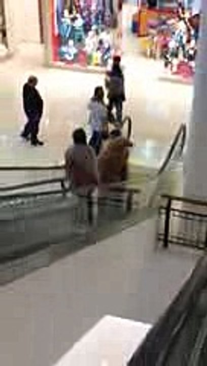 Golden Retriever Gets Carried up Escalator