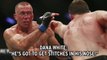Georges St-Pierre Taken To Hospital After Beating Michael Bisping