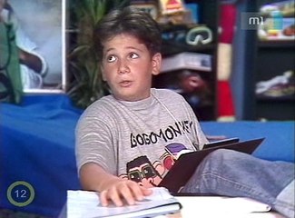 Familia Kft 93 Tuntetes A Vidam Parknal