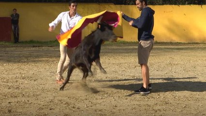 Canal Rugby Club - Un ChiFouMi très tauromachie