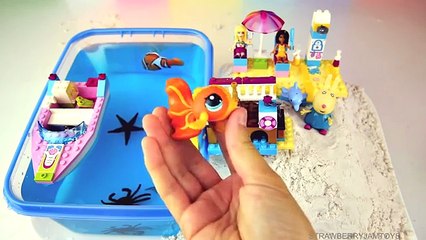 Learn Sea Animal Names Shark Toys Toy Kids Children Toddlers Learning Colours Ocean Animals