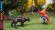 Caperucita Roja Cuento y Canciones | Cuentos Infantiles en Español con Playmobil