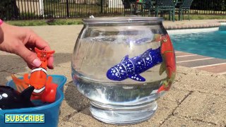 Lil Fishys Motorized Water Pets Aquarium Pool Unboxing & Playtime Review - CoolToys