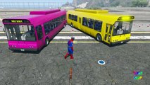 Spiderman Cartoon Wheels on the bus & Fire Truck & Lifeguard Car w Nursery Rhymes Childrens Songs