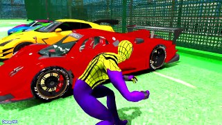 Color Sport Cars for Kids and Learn Color w Spiderman Cartoon for Children & More Nursery Rhymes