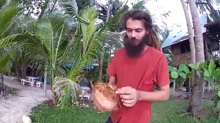DELICIOUS SPROUTED COCONUT