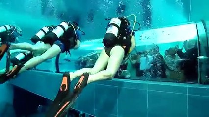 Putri Duyung Benar Ada di Dunia Nyata?