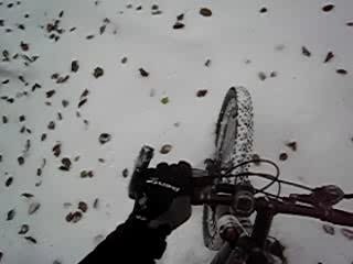 Cota bois 16 11 2007 003