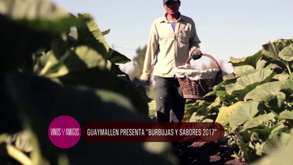 Vinos y Amigos Programa 179 Bloque 1