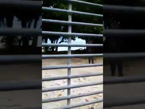 Boats Delivering Food to Manus Island Compound Stopped by Police, Refugees Say