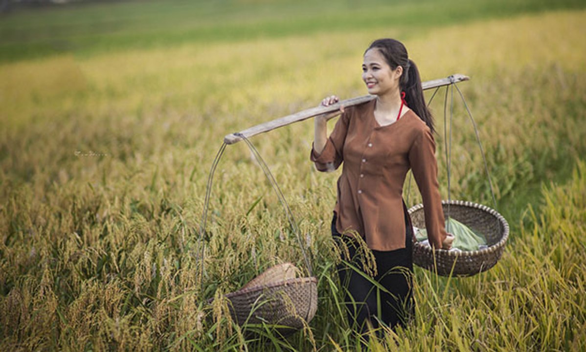 Ca cổ: Tình đẹp duyên quê