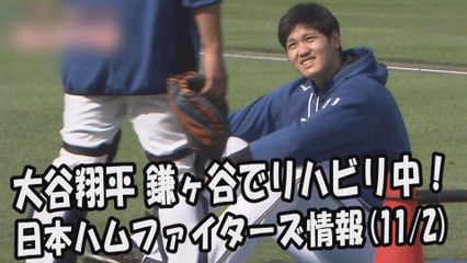 日本ハム 大谷翔平 鎌ヶ谷でリハビリ中！ 2017.11.2 日本ハムファイターズ情報 プロ野球