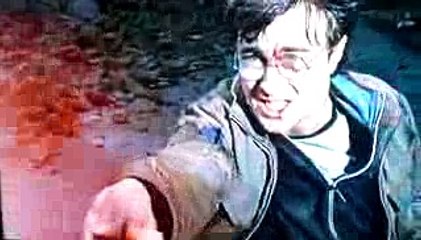 ハリー・ポッター ヴォルデモートVS ハリーポッター最後の戦い