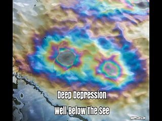 Main Lining Honey Bee