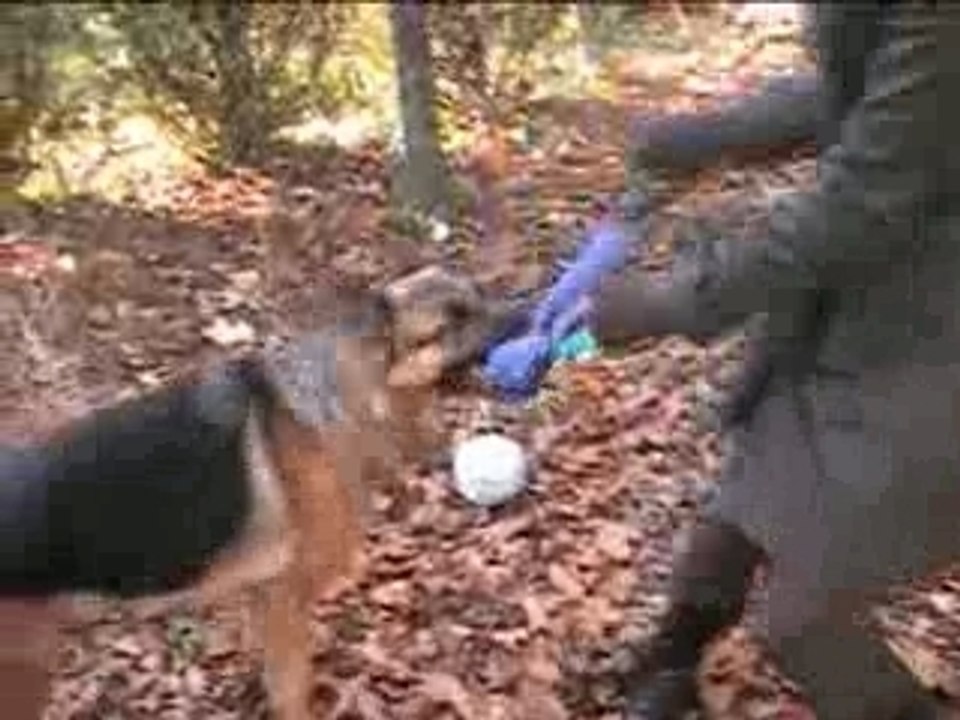 BRISKA DanS LE FEU de l'Action