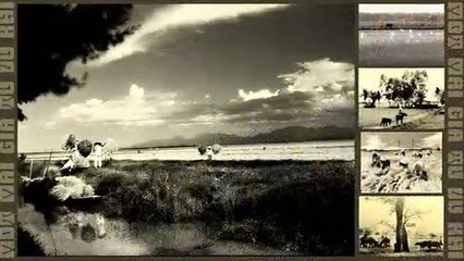 Một Mai Giã Từ Vũ Khí - Duy Khánh