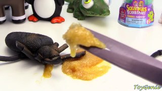 Cutting Open Mr Doh Belly Gross Spider Poopy Puppy Squishy Toys