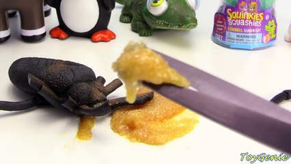Cutting Open Mr Doh Belly Gross Spider Poopy Puppy Squishy Toys