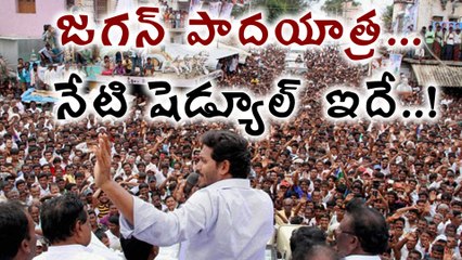 YS Jagan Padayatra Schedule జగన్ పాదయాత్ర, నేటి షెడ్యూల్ ఇదే..